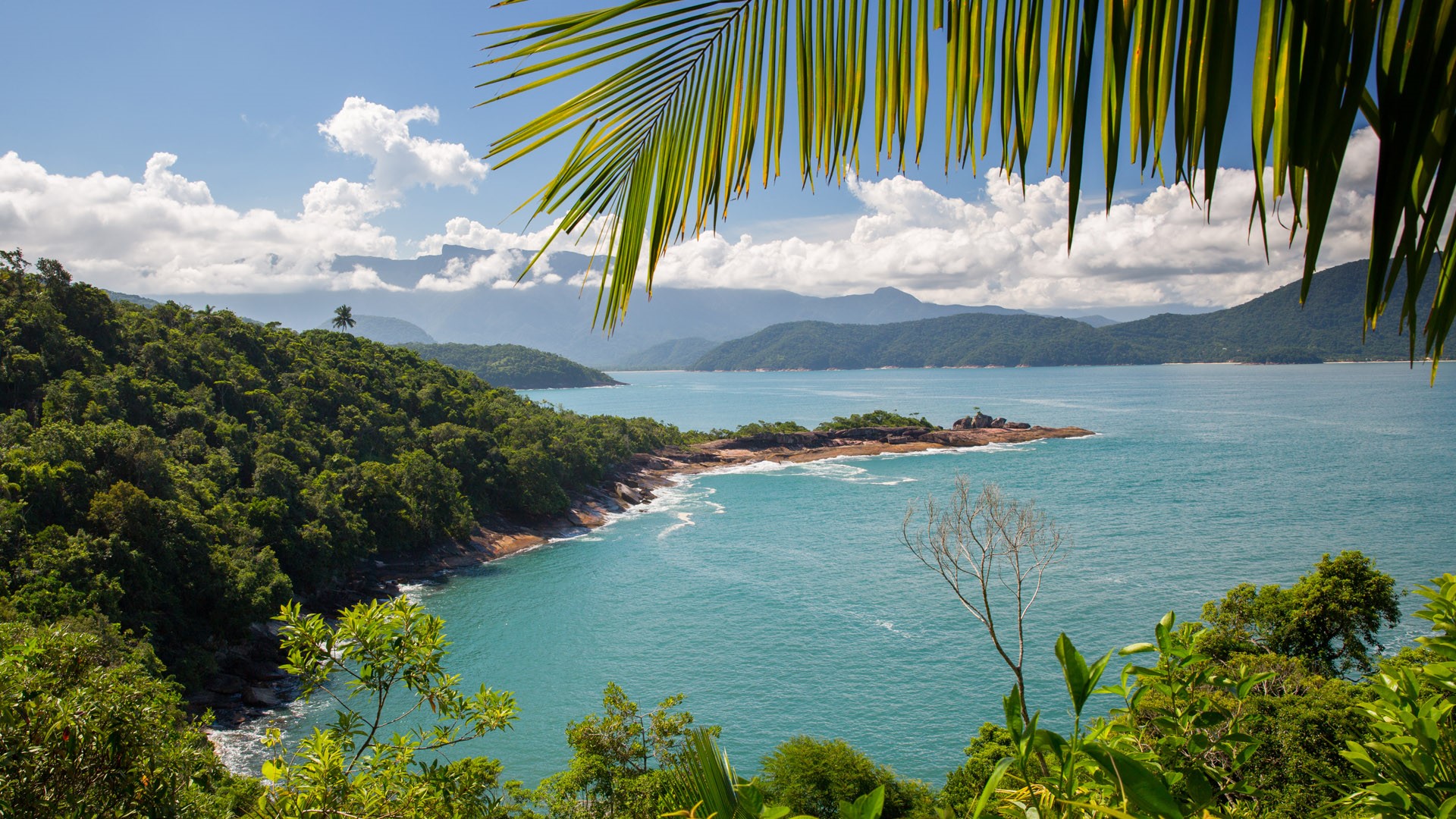 33f33cfc2a64690ba7130a02f6b47f69-3341169159