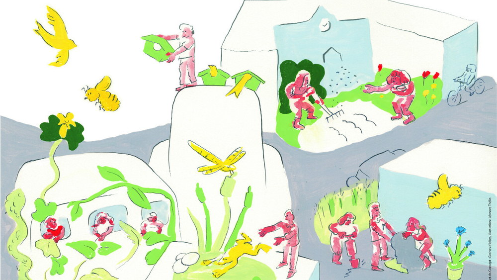 Image média: Concours Nature en ville