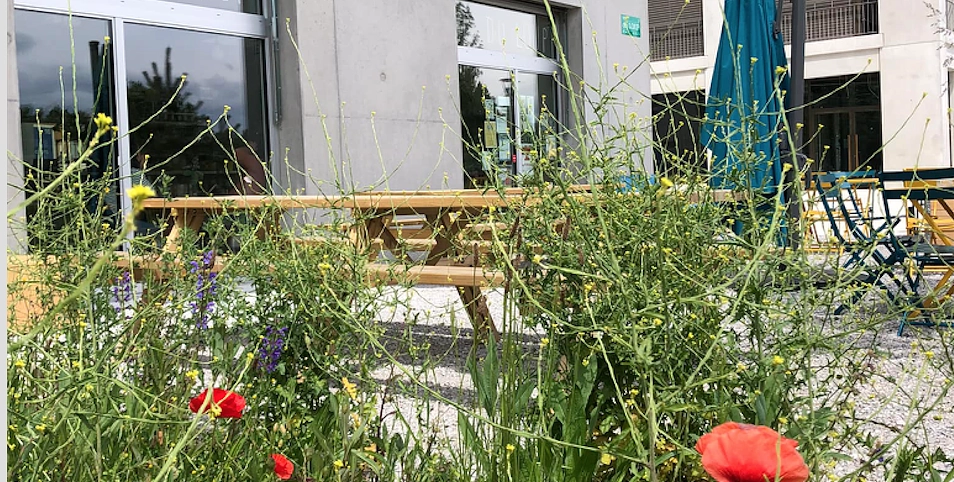 Image média: Groupe de travail Surface d'activités