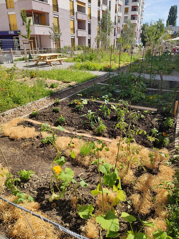 صورة إعلامية: جمعية ليه شان دو لوب 