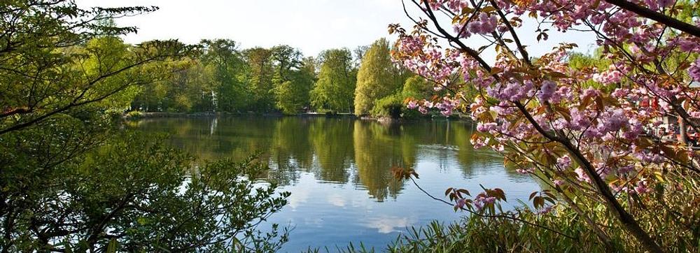 صورة الوسائط: Espaces Frais