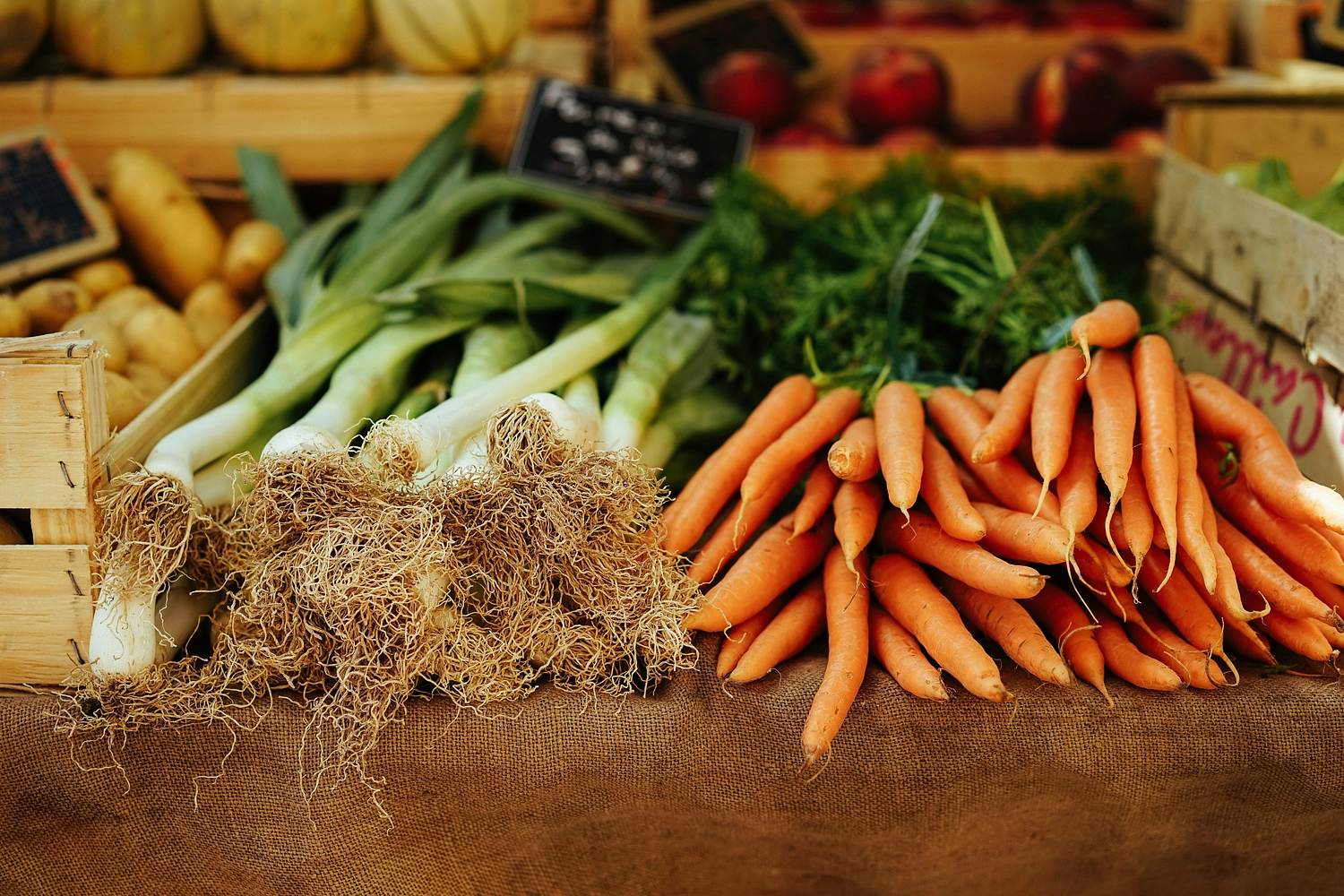 Media picture: Groupe de travail Agro-Alimentaire