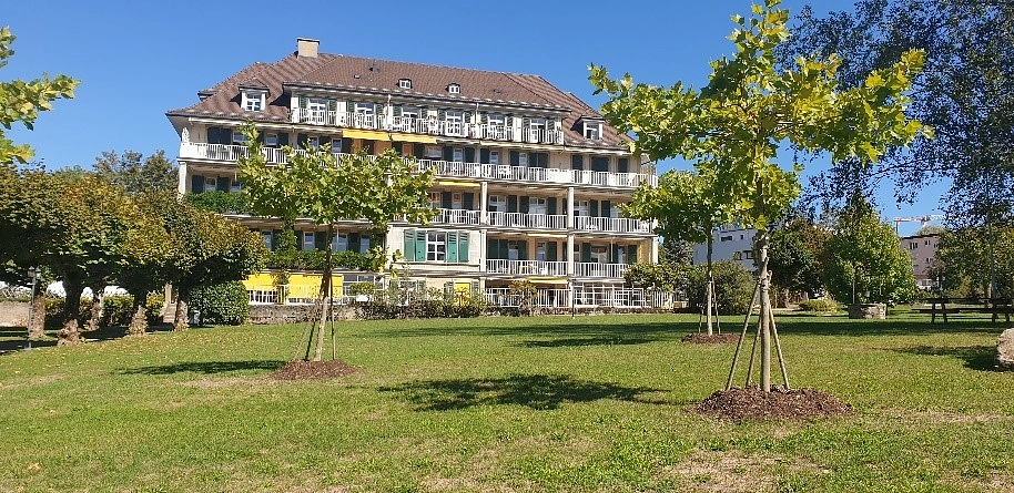 Imagem da mídia: Redonner la place à la Nature, un bienfait pour tous, Eben-Hézer Lausanne